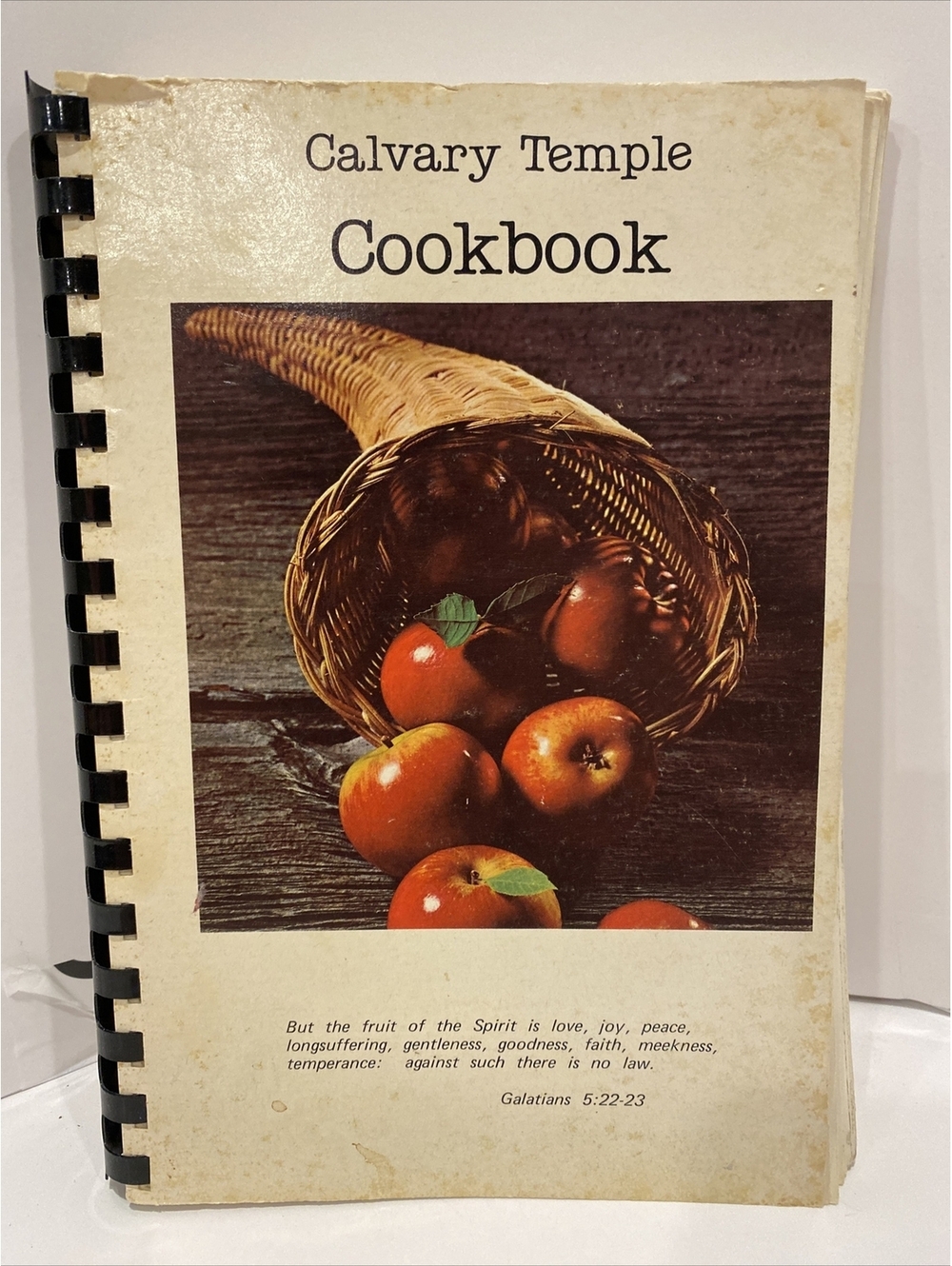 Calvary Temple Christian 1979 Springfield Illinois Recipe Cookbook 252 Pages